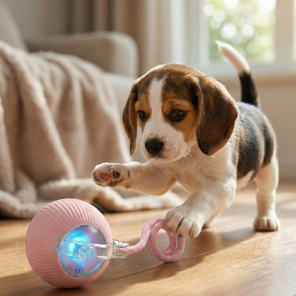 Predator™ Smart Prey Ball